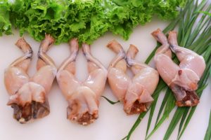 Manfaat Daging Swike Untuk Kesehatan Tubuh